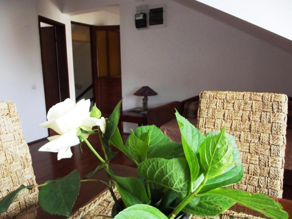 Apartments Budva Center Cameră foto
